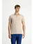 Polo Yaka Regular Fit Nakışlı Pamuklu Tişört 3