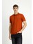 Polo Yaka Regular Fit Nakışlı Pamuklu Tişört 5