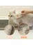 Kedi Köpek Buharlı Pet Tarağı 3