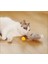 Tüylü Şarjlı Kedi Oyuncağı 4