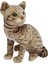 43 cm Peluş Kedi Halley 2
