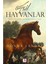 Asil Hayvanlar 1