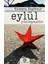 Eylül Yüzleşmedir 1