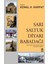 Sarı Saltuk Diyarı: Babadağı 1
