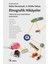 Etnografik Hikayeler 1