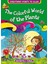 The Colorful World Of The Plants 1