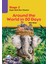 Around The World In 80 Days - Stage 2 1