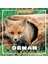 Orman - Hayvanlar Dünyası 1