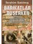 Barikatlar Düşerken 1