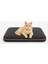 4 Mevsim Termojel'li (60X40CM) Kedi/ Köpek Matı, Sıcak Veya Soğuk Kullanılabilen Minder Yatak 4
