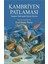Kambriyen Patlaması 1