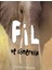 Fil ve Cömertlik 1