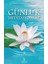 Günlük Meditasyonlar 1