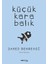 Küçük Kara Balık 1