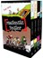 Maskesiz Beşler Serisi - 4 Kitap 1