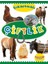 Çıkartmalı Çiftlik 1