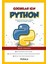 Çocuklar Için Python 1