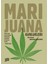 Marijuana Günlükleri 1