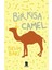 Bir Kısa Camel 1