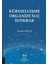 Küreselleşme Organize Suç Istikrar 1
