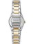 DK1L100M0085 Kadın Kol Saati 3