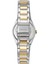 DK1L100M0095 Kadın Kol Saati 3