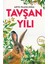Tavşan Yılı 1