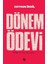 Dönem Ödevi 1