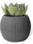 KRS-363 Plastik Mercan Kaktüs Saksı 0.7 Litre Antrasit 6 Adet 4