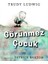 Görünmez Çocuk 1