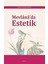 Mevlana'da Estetik 1