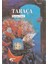 Taraça 1
