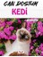Can Dostum Kedi 1