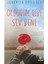 Olduğum Gibi Sev Beni 1