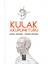 Kulak Akapunkturu 1