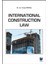 International Construction Law 1