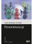 Fenomenoloji 1