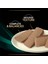 Purına® Pro Plan® Veterınary Dıets Canıne En Gastrointestinal™ 400G 2