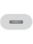 Usb-C - Lightning Adaptörü ​​​​​​​ 2