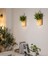 Solar Technology Güneş Enerjili 3W Gün Işiği Kavanoz Peri LED Asma Aparatlı 20 LED Bahçe, Ağaç, Balkon, Güverte, Yazlık, Veranda, Havuz Kenarı Aydınlatması Su Geçirmez 2