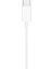 Earpods (Usb-C) ​ 2