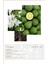 After 147 Edp 50ML Kadın Parfüm 3