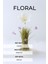 Are Here 65 ml Kadın Parüm 5