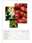 After 119 Edp 50ML Kadın Parfüm 3