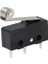 Micro Switch Iğne Bacak Makaralı (IC-169) (5047) 1