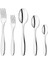 Sheen 60 Parça Çatal Kaşık Takımı-Gümüş25 2