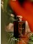 Red Hibiscus Cologne Intense 100ML 2