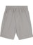 67892262 Desert Road Cargo Shorts Gri Erkek Şort 2