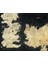 Of Thrones: House Lannister Ruled Notebook 2