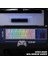 Len K620 Type-C Kablolu Klavye LED Rgb 61 Tuşlu Rgb Mekanik Oyuncu Işıklı Klavye Ergonomik Tasarım Bilgisayar Pc Için Gaming Keyboard Beyaz Renk Kırmızı Switch 2
